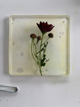 Load image into Gallery viewer, Gel prentun / Gel Printing // lau. og sun. 21.-22.mars 2026